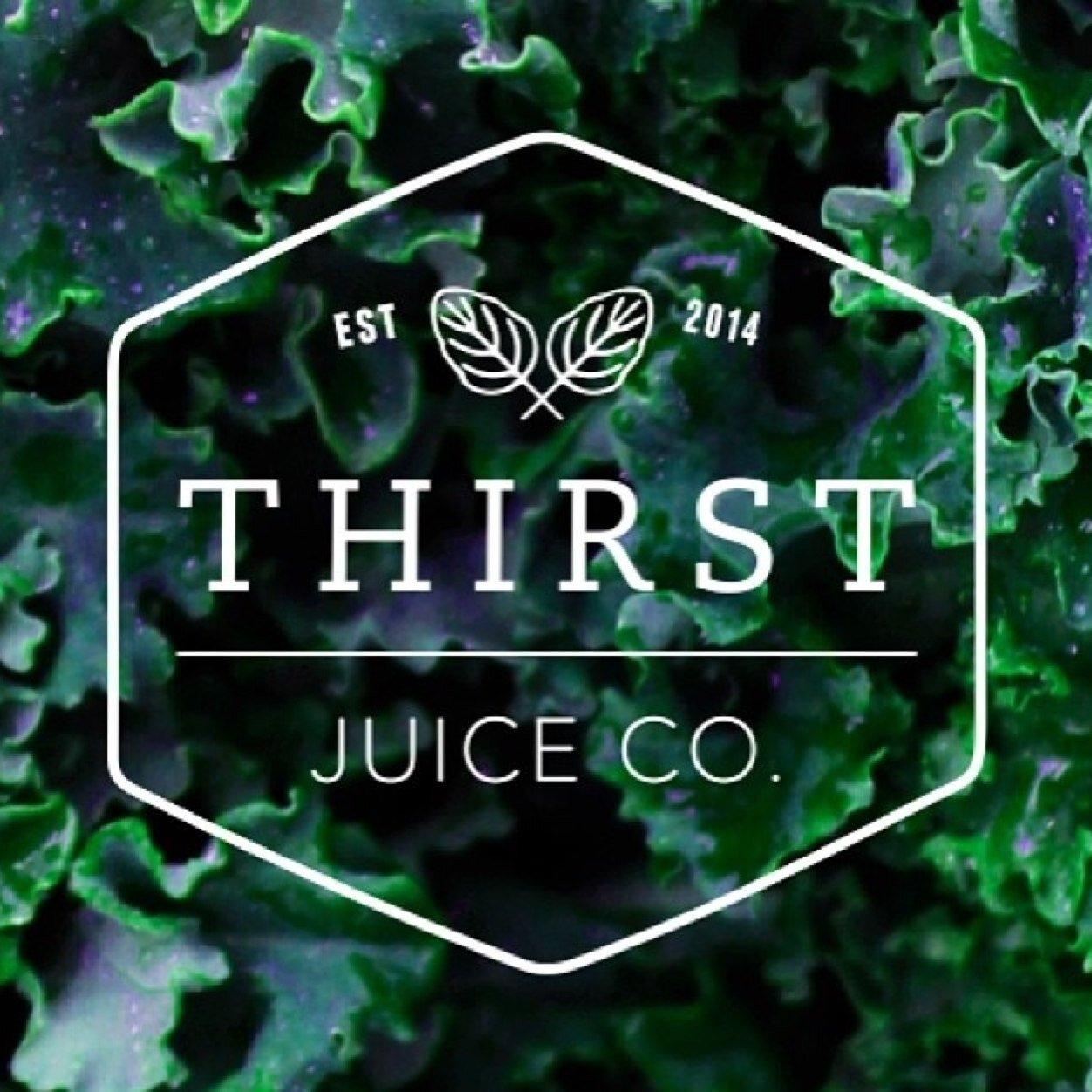 THIRSTJUICE's profile picture. Purveyors of fine juice & good vibes. #juiceculture (( coming soon ))