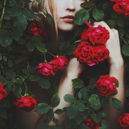 souluminescence's profile picture. этот неловкий момент между рождением и смертью