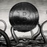 cryptokraken's profile picture. Dragging your bitcoins into the Abyss..