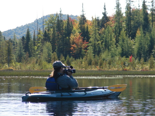 NWWMARK's profile picture. Naturalist, Conservationist, Film Maker, Producer of the Nature Walks with Mark Fraser conservation show