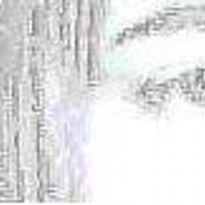 mutated pixelation (@mutatedpixels) / Posts / X