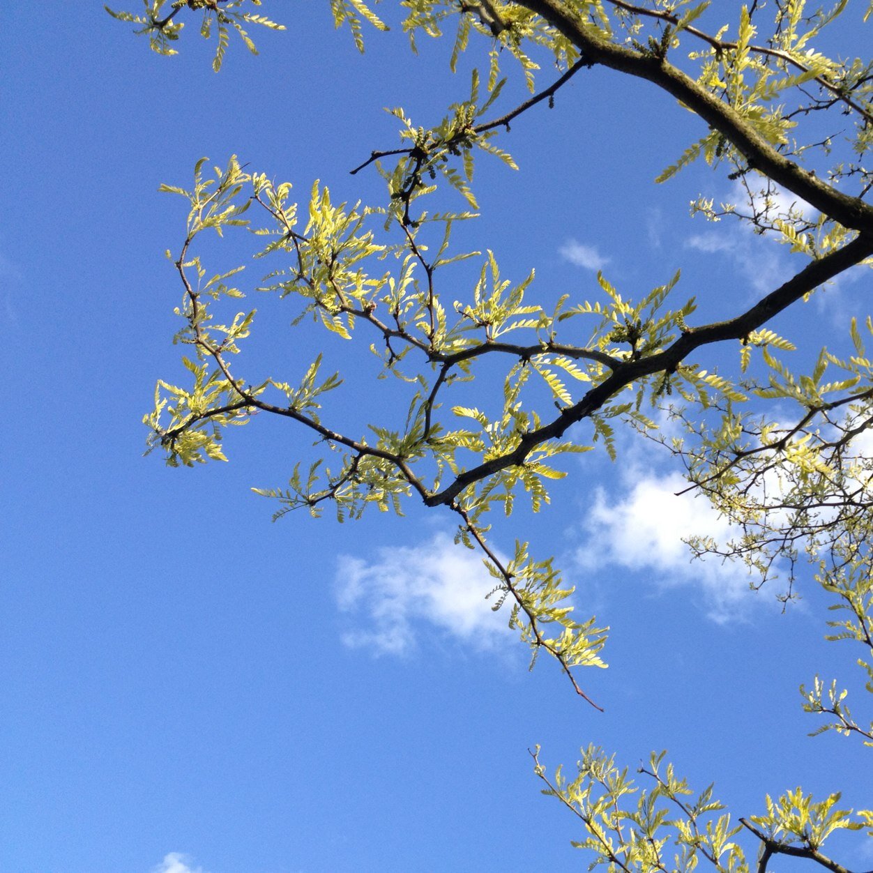 ellendeswart's profile picture. 