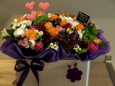 FexrinC_zade's profile picture. 