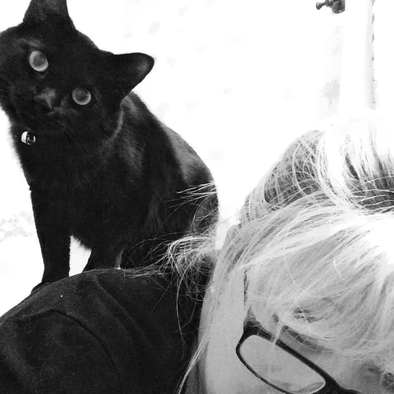 TonyaMSweetT's profile picture. 