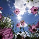 Akram Mustafa - @AkramMustafa5 - Twitter