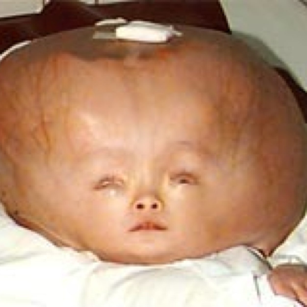 _DoYouGusta_'s profile picture. I grew up in a trash can on the outskirts of the city. The only family I've ever known are the rats that hoarded around my can at night.