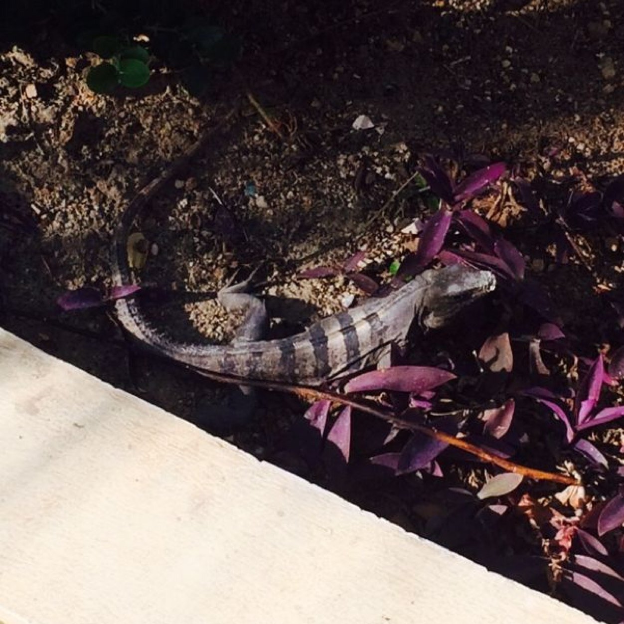 hfmaz14's profile picture. 