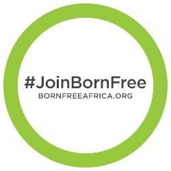 Born Free is a philanthropic initiative with one goal: to end the transmission of HIV from mothers to their children.