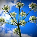 JuneTrevino - @JuneTrevino - Twitter