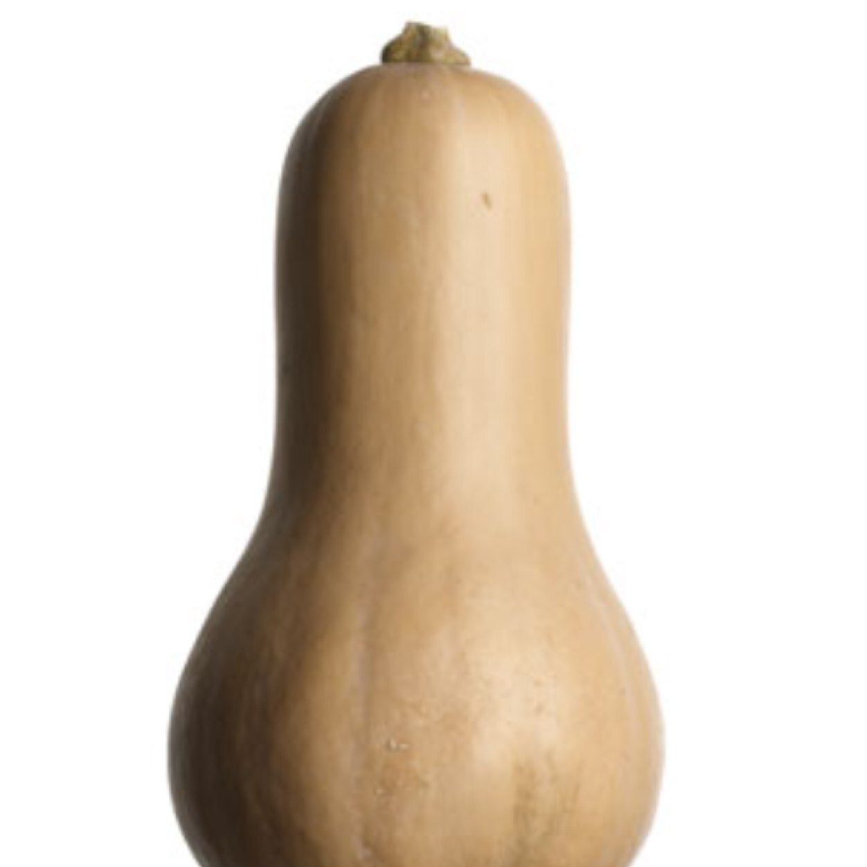 I am the squash