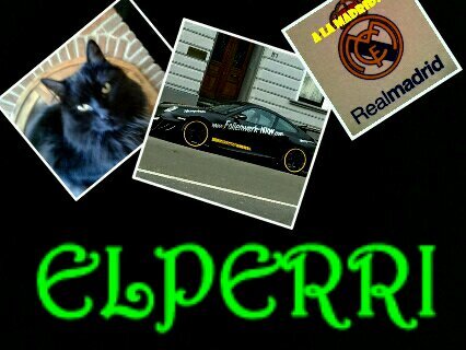 elperri65's profile picture. quiere ser youtuber gamer y bla bla bla.........