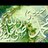suad_ajlan's profile image