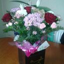 helen dobbs - @Helelen1234 - Twitter