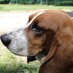 mellabassett (@mellabassett) Twitter profile photo
