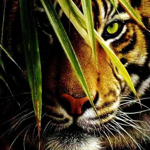 Cómo un animal salvaje, la verdad es demasiado poderosa para permanecer enjaulada.
