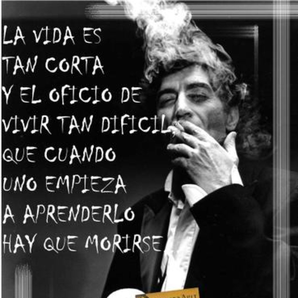 DavBre Profile