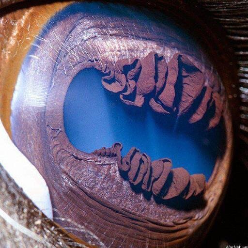 Science_Random's profile picture. .