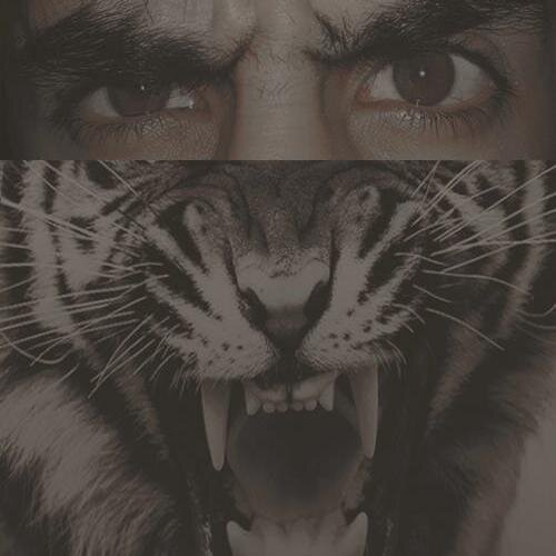 danighumro's profile picture. 