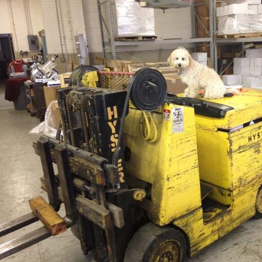 AB2384's profile picture. "God's battle axe and weapon of war" joe rogan