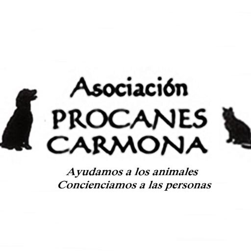ProcanesCarmona Profile Picture