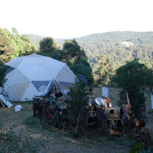 NetsaArt's profile picture. 