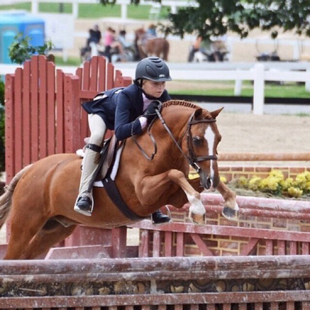 Eqriderproblems's profile picture. canada | aspiring CET rider |