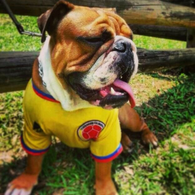 victorsys's profile picture. r00t