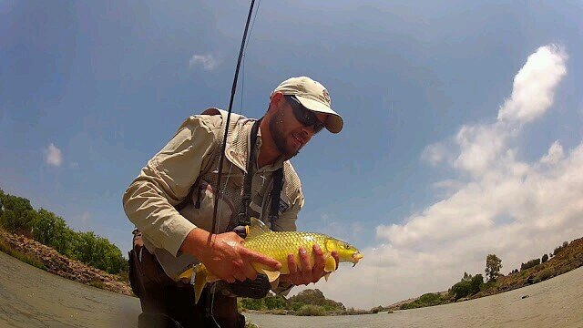 Full time Dad, Fly Fishing guide, instructor specialising in Yellow fish & fly tier. Outdoor junkie. I love Jesus and my little family. Vaal, South Africa