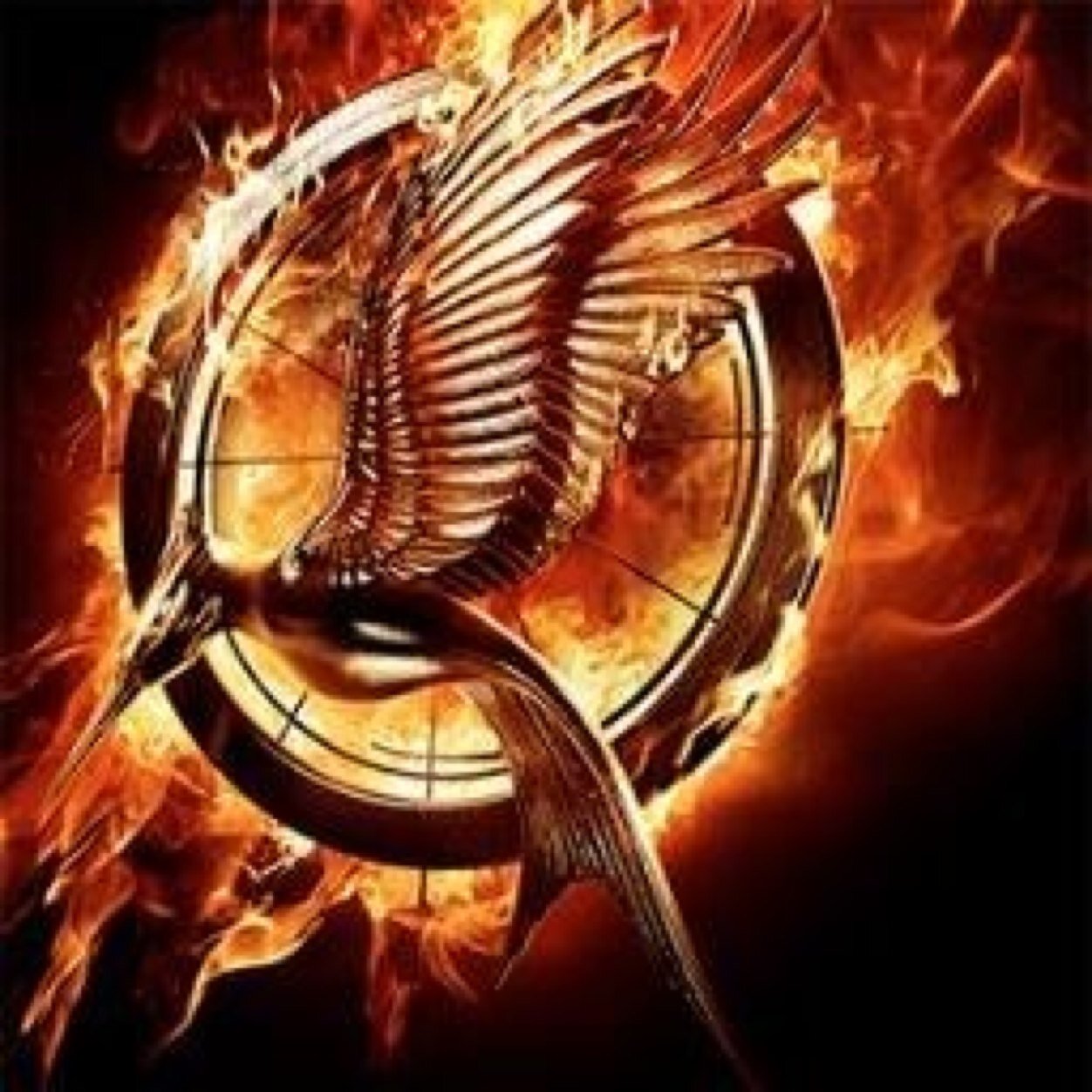 The hunger games but with celebs Or charcters no fcs!