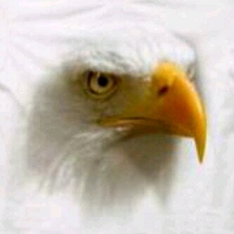 diduk7's profile picture. Jgn ragu ragu