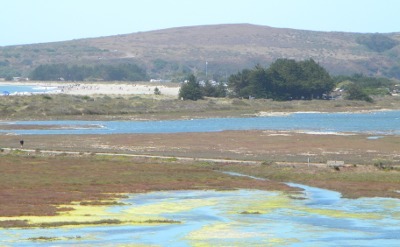 VisitBodegaBay's profile picture. Locals' Guide to Bodega Bay and Beyond