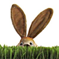 Ela Hase 🐰🖤🌌 (@dieschatzhasen) 's Twitter Profile Photo Ela Hase 🐰🖤🌌 (@dieschatzhasen) 's Twitter Profile Photo
