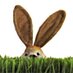 Ela Hase 🐰🖤🌌 (@dieschatzhasen) Twitter profile photo Ela Hase 🐰🖤🌌 (@dieschatzhasen) Twitter profile photo