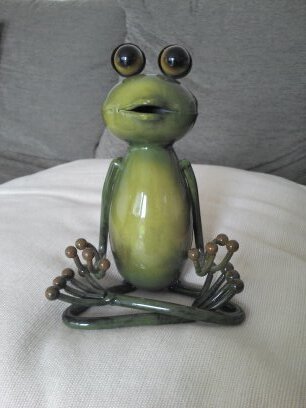 _mintyfrog's profile picture. 