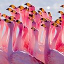 Mark Ingram - @markdingram - Twitter