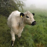 StJohnsFarm(@St_Johns_Farm) 's Twitter Profile Photo