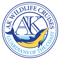AK Wildlife Cruises(@ak_cruises) 's Twitter Profile Photo