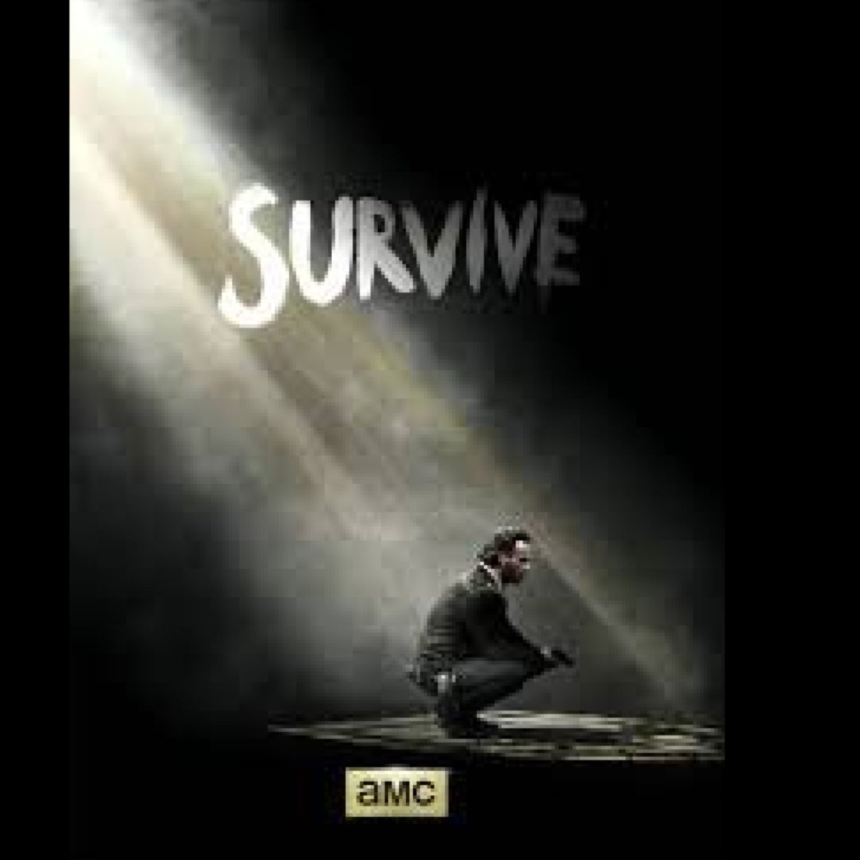 Follow me i follow back The walking dead