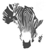 African Conservation Foundation (@AfricanConserve) Twitter profile photo
