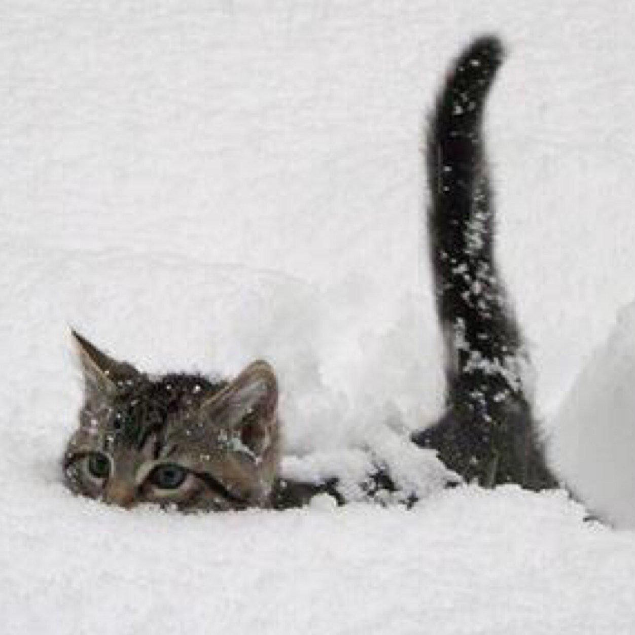 _minim_'s profile picture. 계속하는 것은 힘이된다.