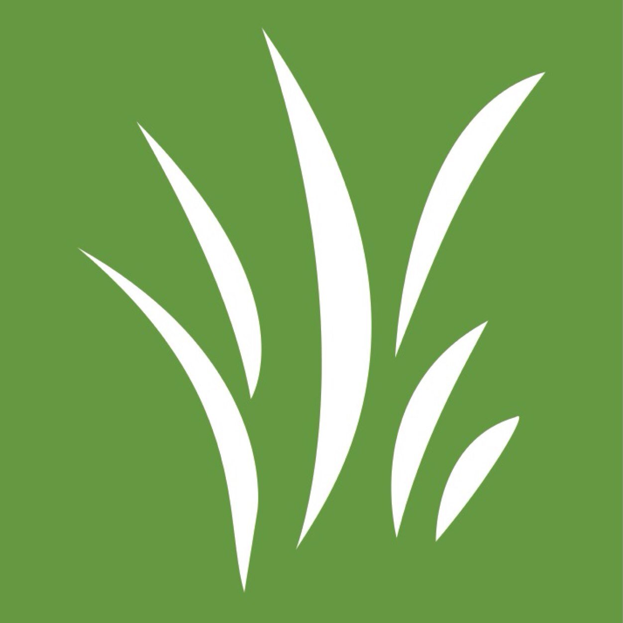 HassleFreeLawns's profile picture. Specialists in artificial grass options and installation