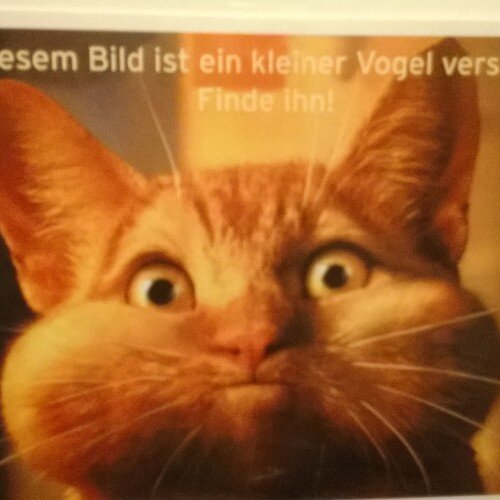 gleich um die Ecke - und doch anders