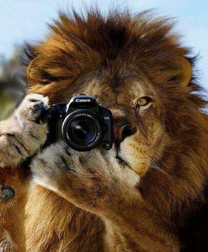 mohd007x43's profile picture. 