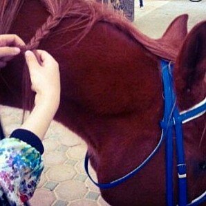 أتشرف بمتابعتكم ♡'