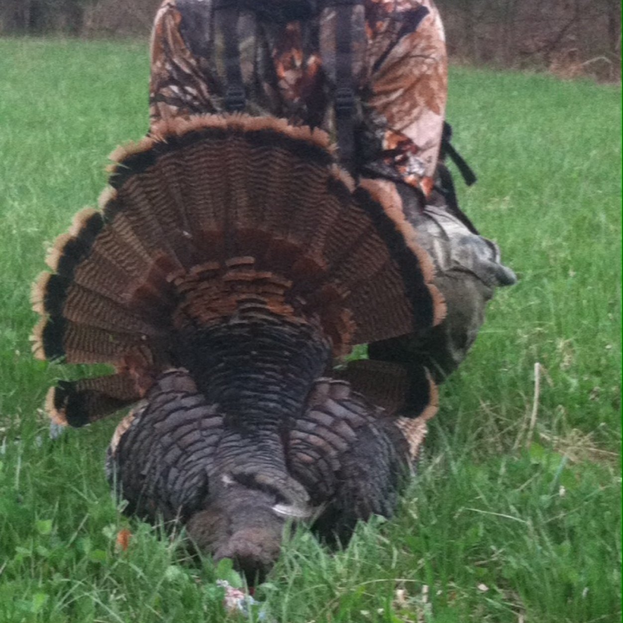 MccjimJ's profile picture. 