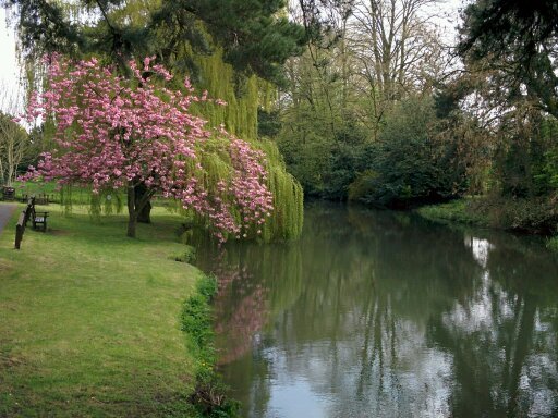 PriyaNath_12's profile picture. 