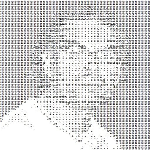 Reportero freelance, fixer, catador de mezcal y de café. Tres veces premio de declamación en la secun. Más datitos: