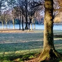 James O'Neill (@joakparker) 's Twitter Profile