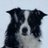 LaMardeJou's profile image