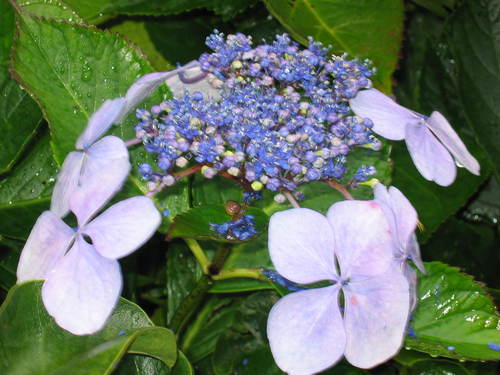 djfleisher's profile picture. 